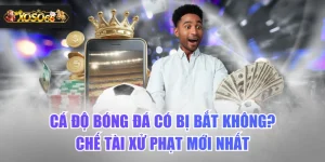 Cá Độ Bóng Đá Có Bị Bắt Không? Chế Tài Xử Phạt Mới Nhất