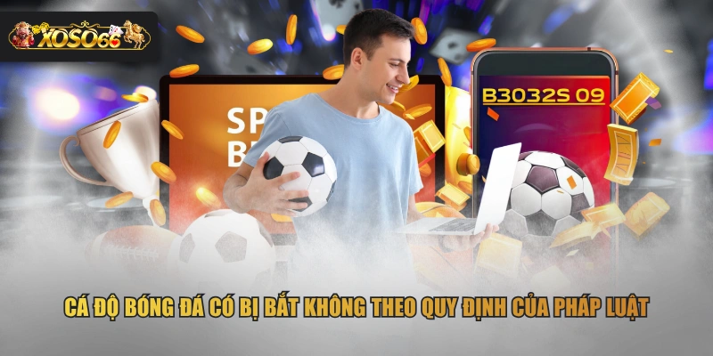 Cá độ bóng đá có bị bắt không theo quy định của pháp luật