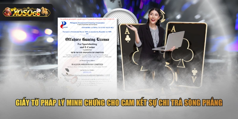 Giấy tờ pháp lý minh chứng cho cam kết sự chi trả sòng phẳng