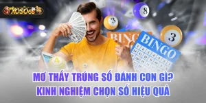 Mơ Thấy Trúng Số Đánh Con Gì? Kinh Nghiệm Chọn Số Hiệu Quả