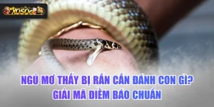 Ngủ Mơ Thấy Bị Rắn Cắn Đánh Con Gì? Giải Mã Điềm Báo Chuẩn